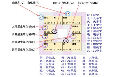 紫微斗數12宮|紫微斗數盤怎麼看？12宮位星曜排列完整教學 